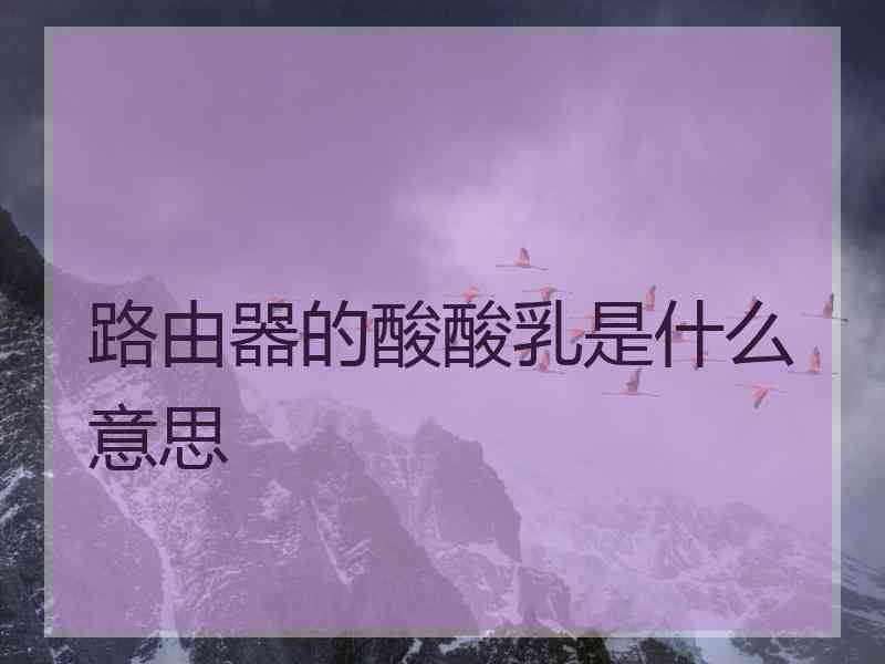 路由器的酸酸乳是什么意思