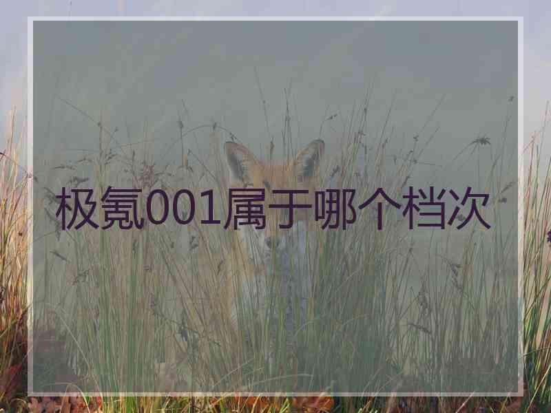 极氪001属于哪个档次