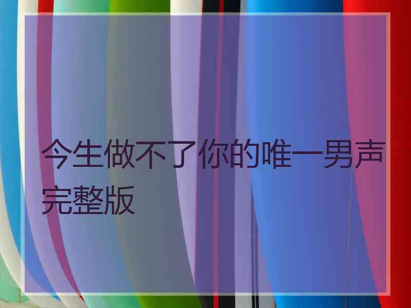 今生做不了你的唯一男声完整版