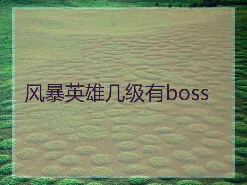风暴英雄几级有boss