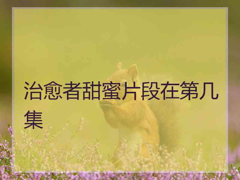 治愈者甜蜜片段在第几集