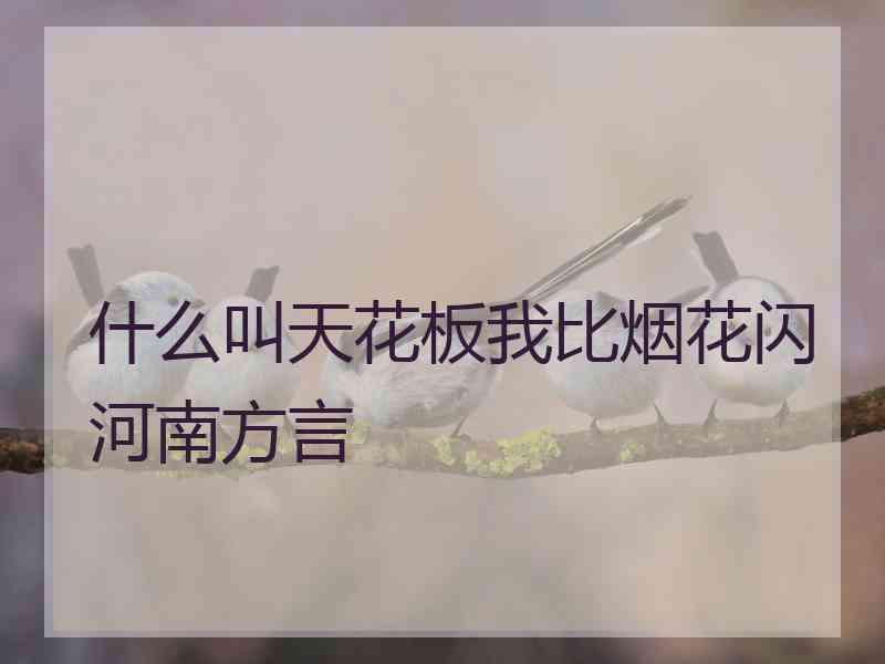 什么叫天花板我比烟花闪河南方言