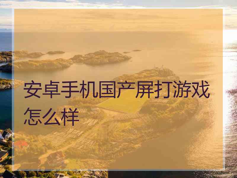 安卓手机国产屏打游戏怎么样