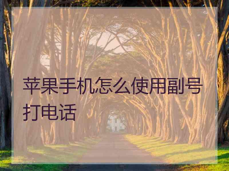 苹果手机怎么使用副号打电话