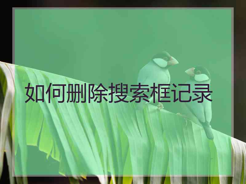 如何删除搜索框记录