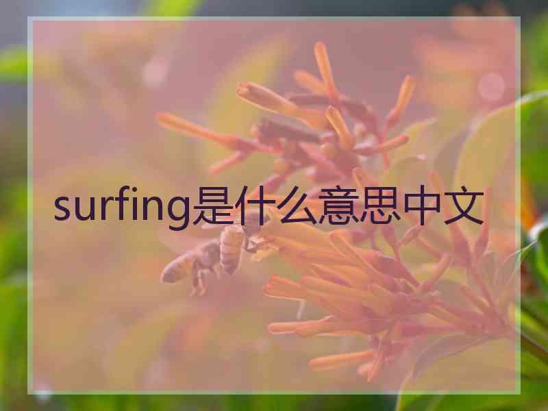 surfing是什么意思中文