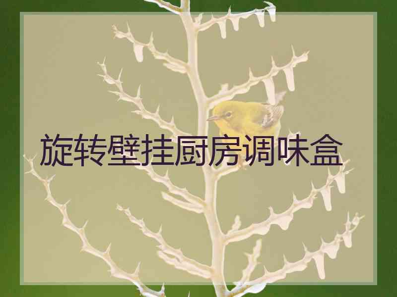 旋转壁挂厨房调味盒