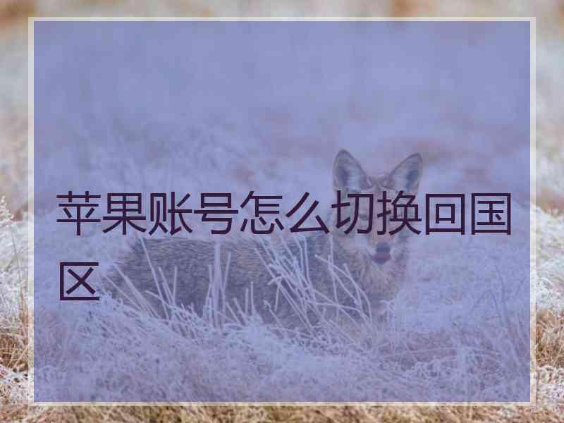 苹果账号怎么切换回国区