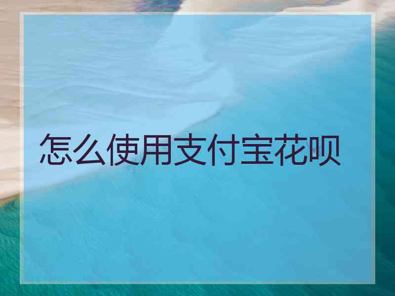怎么使用支付宝花呗