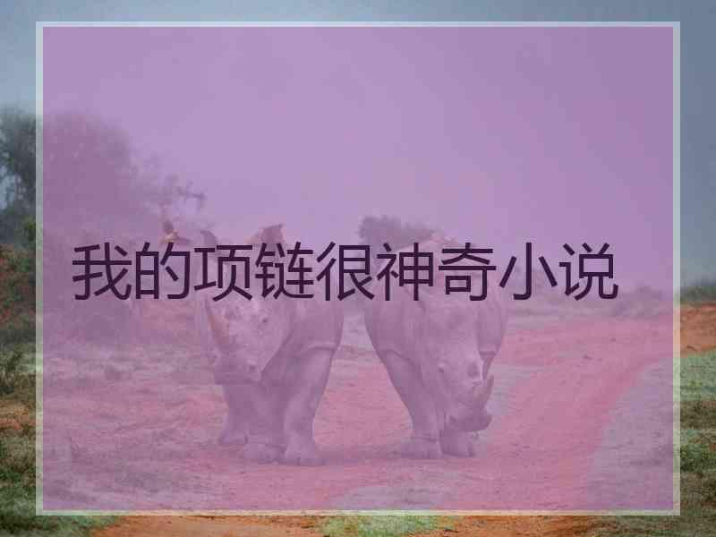 我的项链很神奇小说