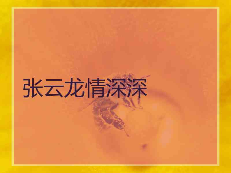 张云龙情深深