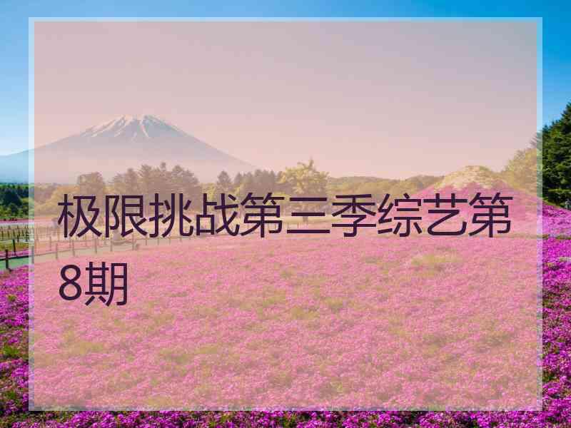 极限挑战第三季综艺第8期