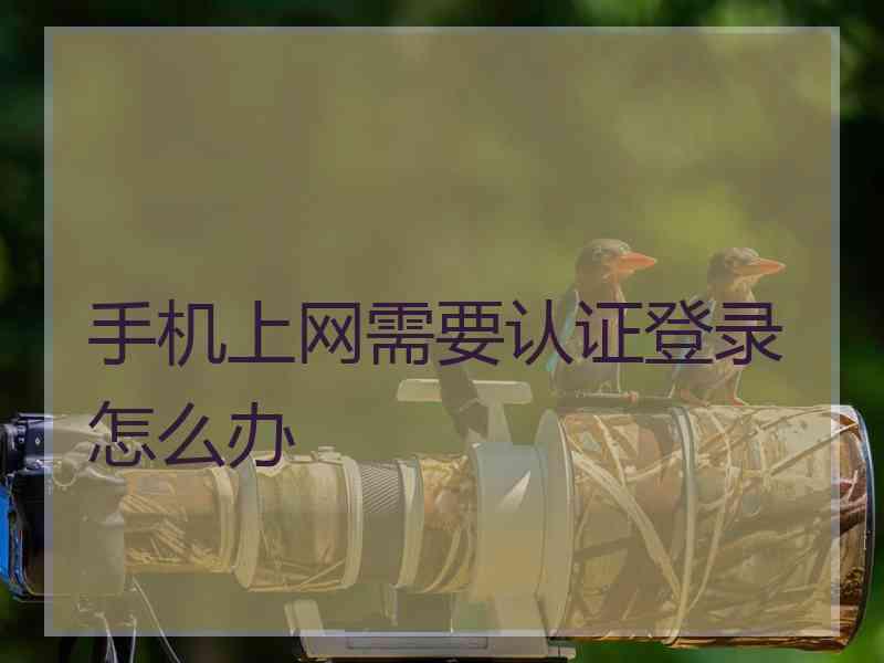 手机上网需要认证登录怎么办