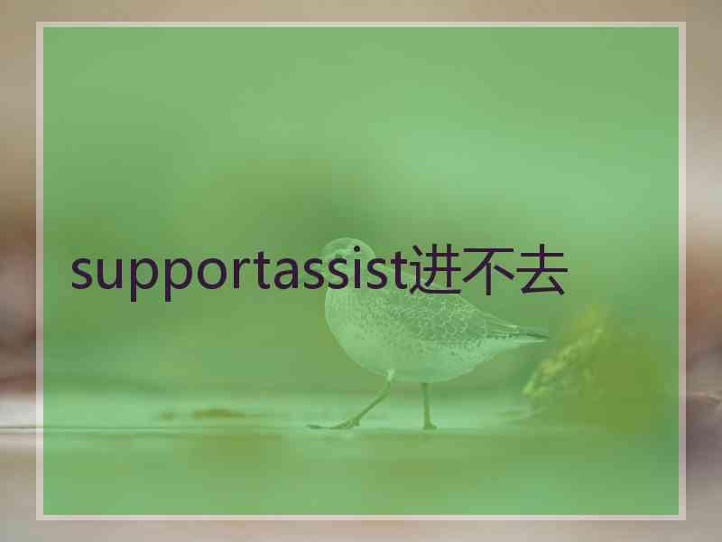 supportassist进不去