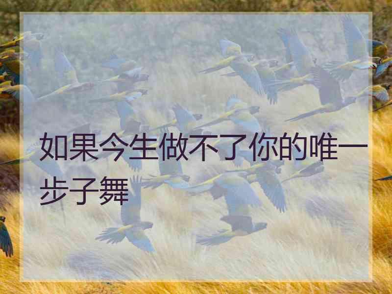 如果今生做不了你的唯一步子舞