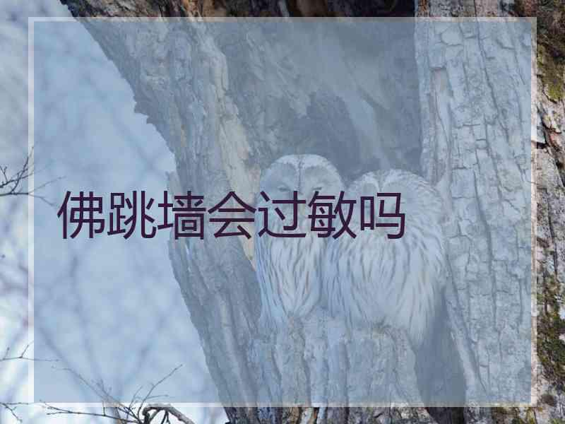 佛跳墙会过敏吗