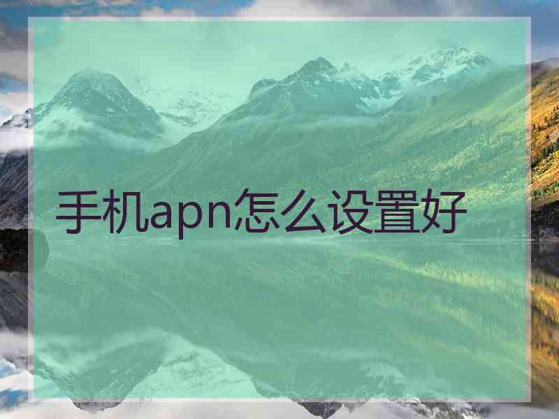 手机apn怎么设置好