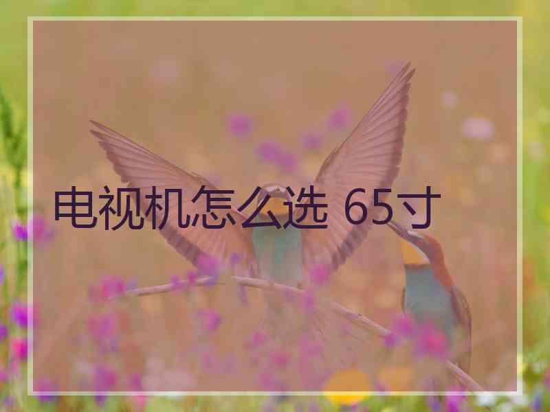 电视机怎么选 65寸