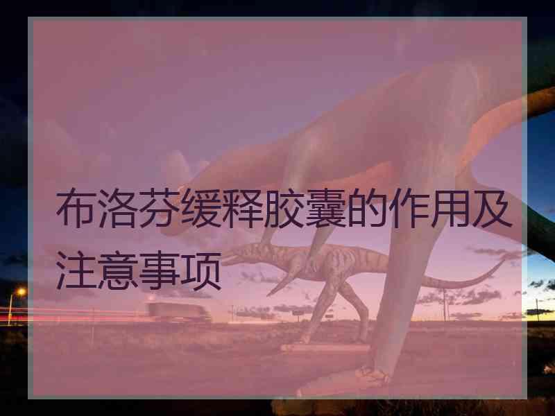布洛芬缓释胶囊的作用及注意事项