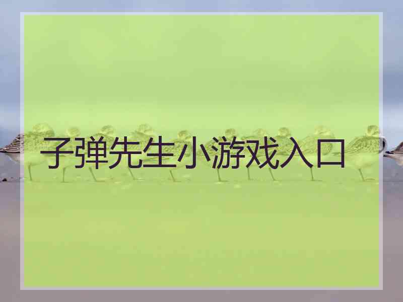 子弹先生小游戏入口