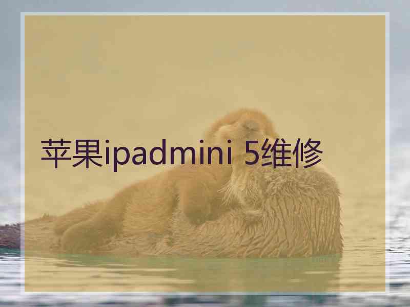 苹果ipadmini 5维修