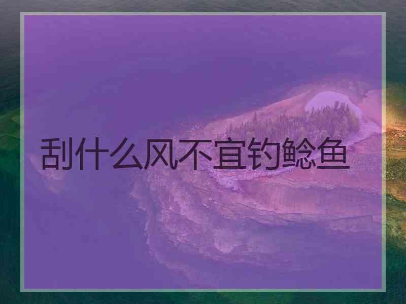 刮什么风不宜钓鲶鱼