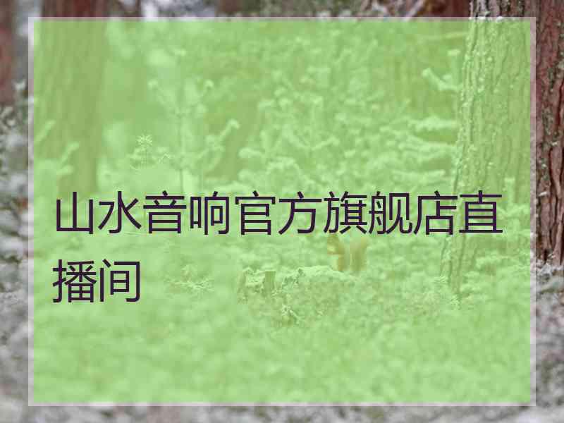 山水音响官方旗舰店直播间