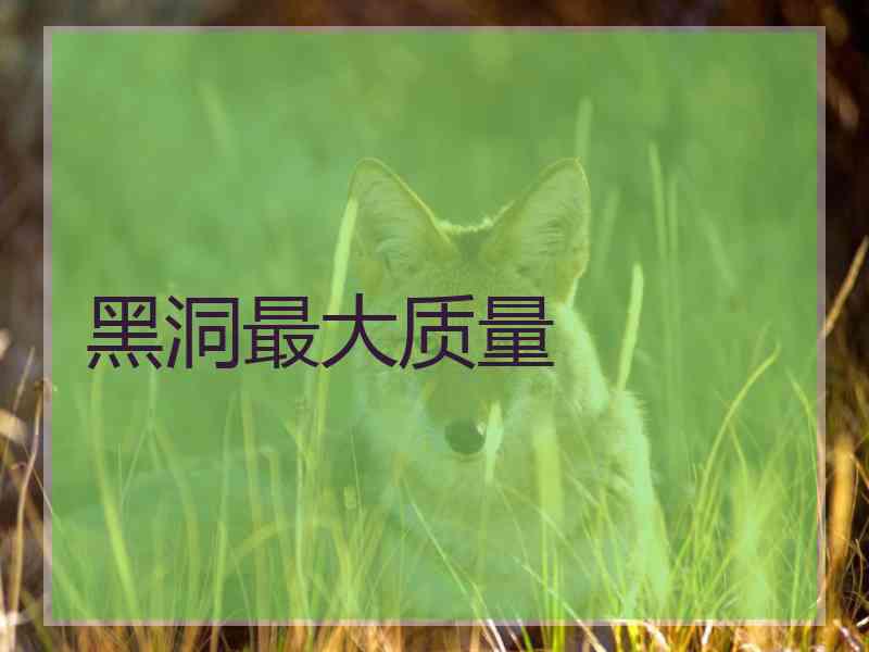 黑洞最大质量