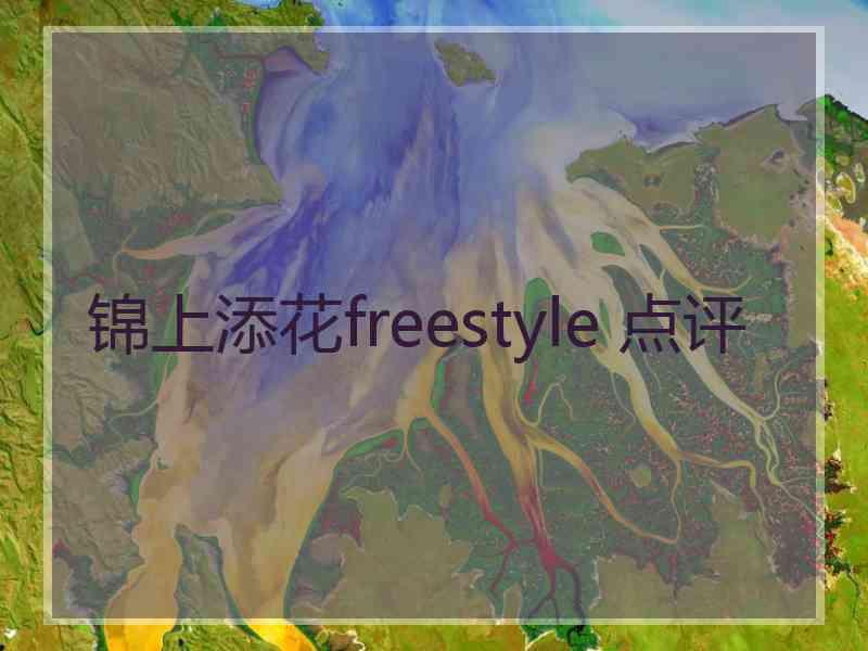 锦上添花freestyle 点评