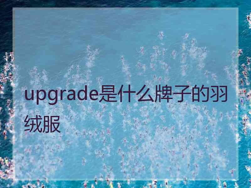 upgrade是什么牌子的羽绒服