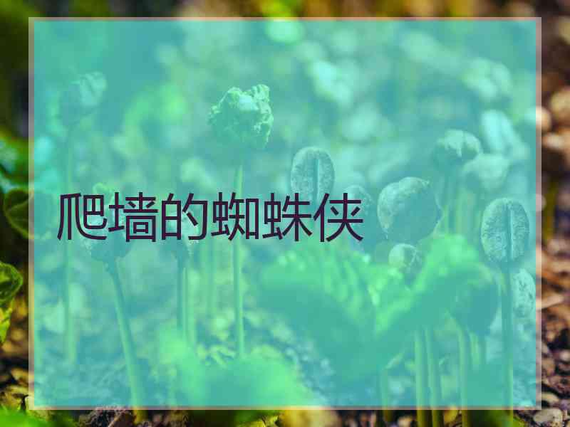 爬墙的蜘蛛侠