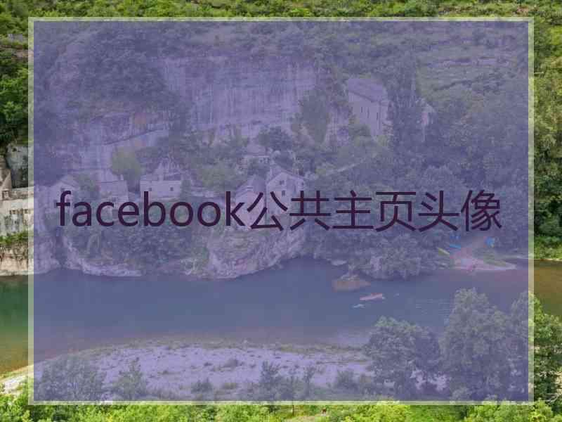 facebook公共主页头像
