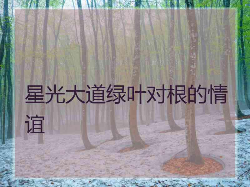 星光大道绿叶对根的情谊