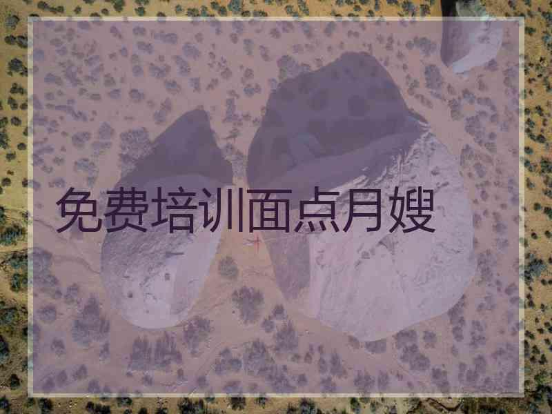 免费培训面点月嫂