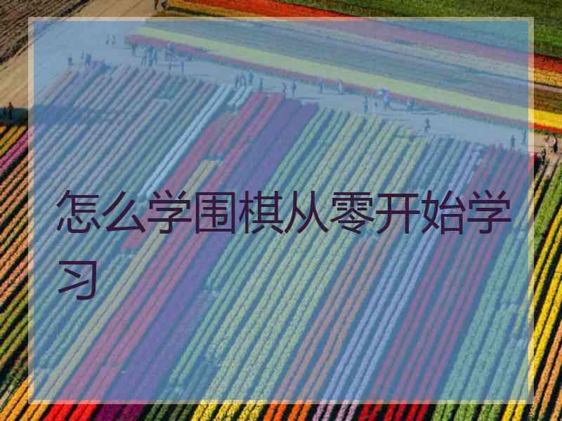 怎么学围棋从零开始学习