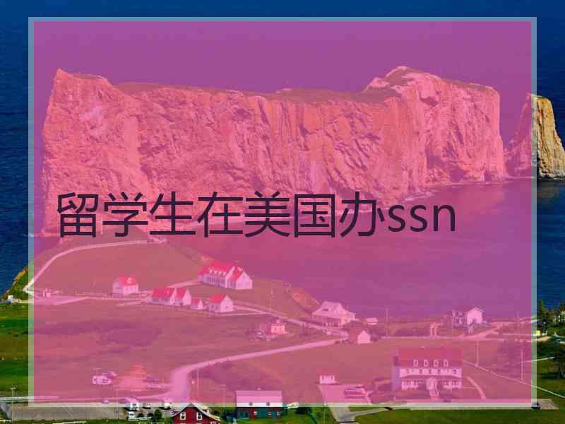 留学生在美国办ssn