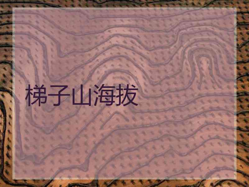 梯子山海拔
