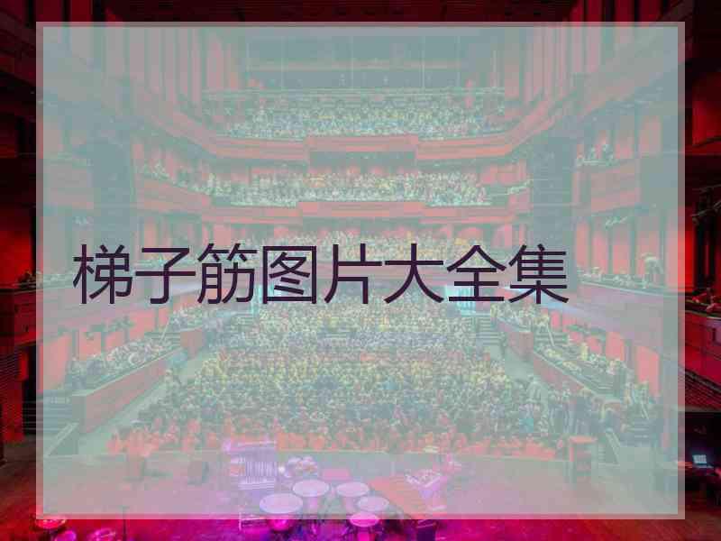 梯子筋图片大全集