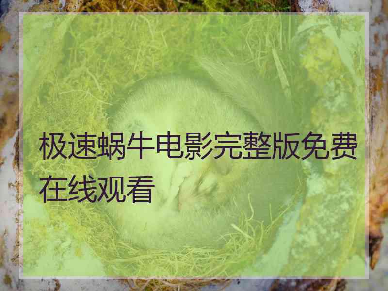极速蜗牛电影完整版免费在线观看