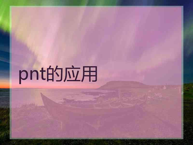 pnt的应用