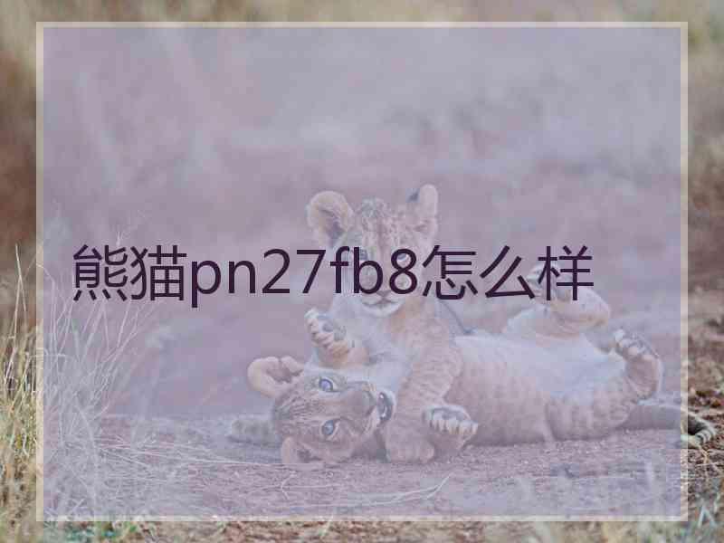 熊猫pn27fb8怎么样