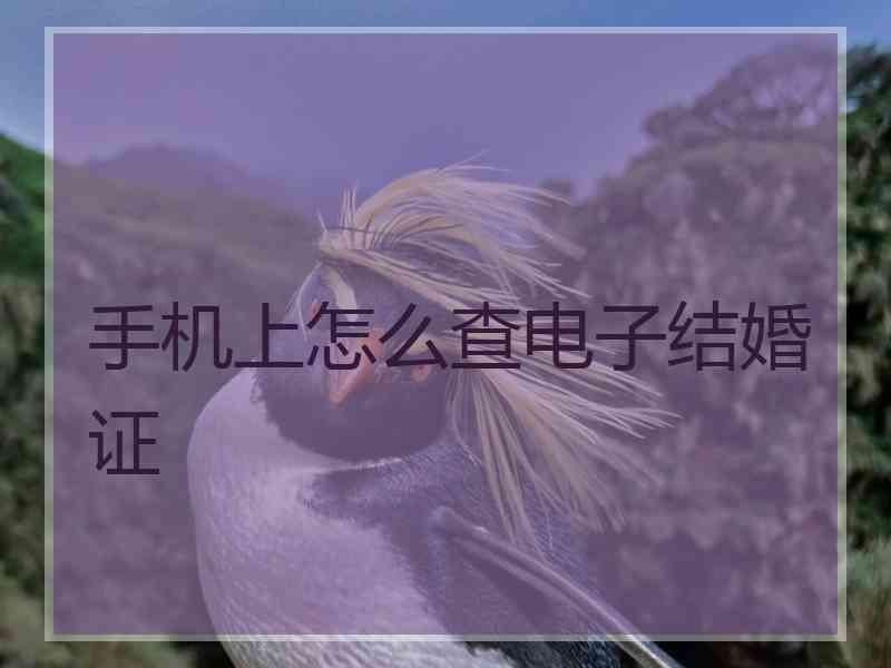 手机上怎么查电子结婚证