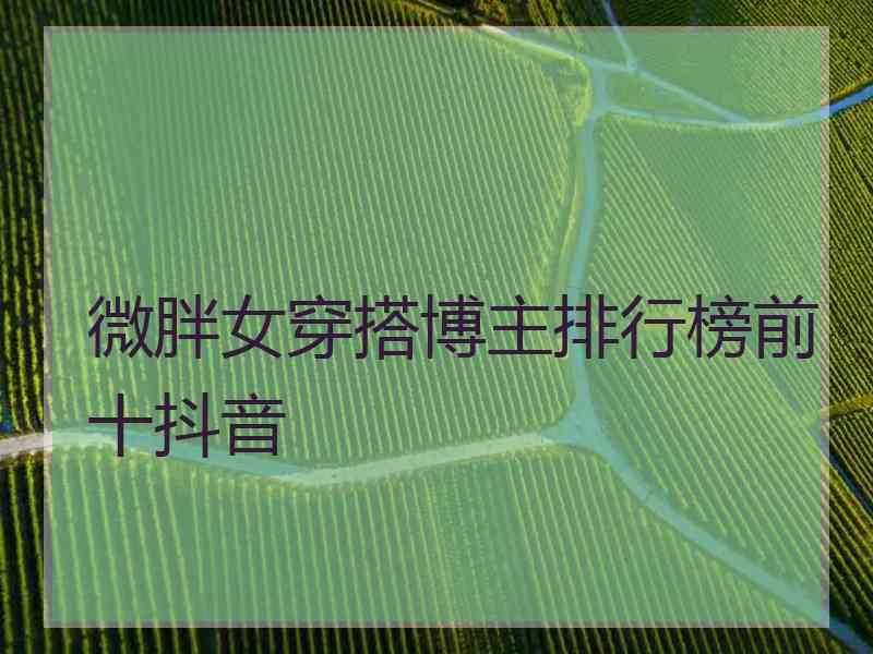 微胖女穿搭博主排行榜前十抖音
