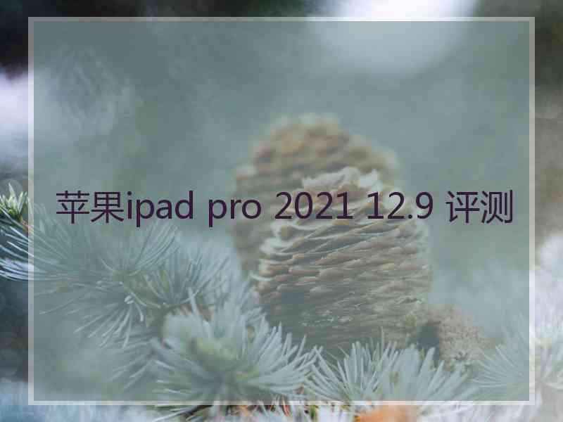 苹果ipad pro 2021 12.9 评测