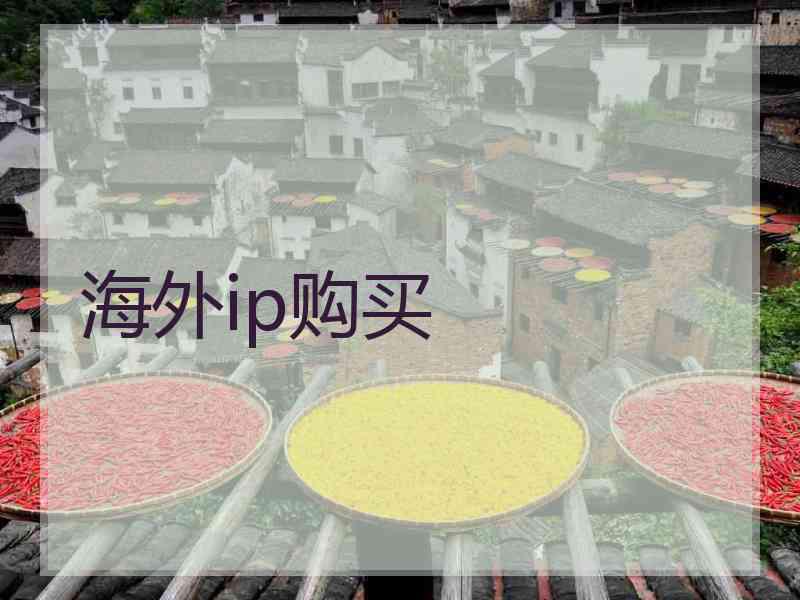 海外ip购买