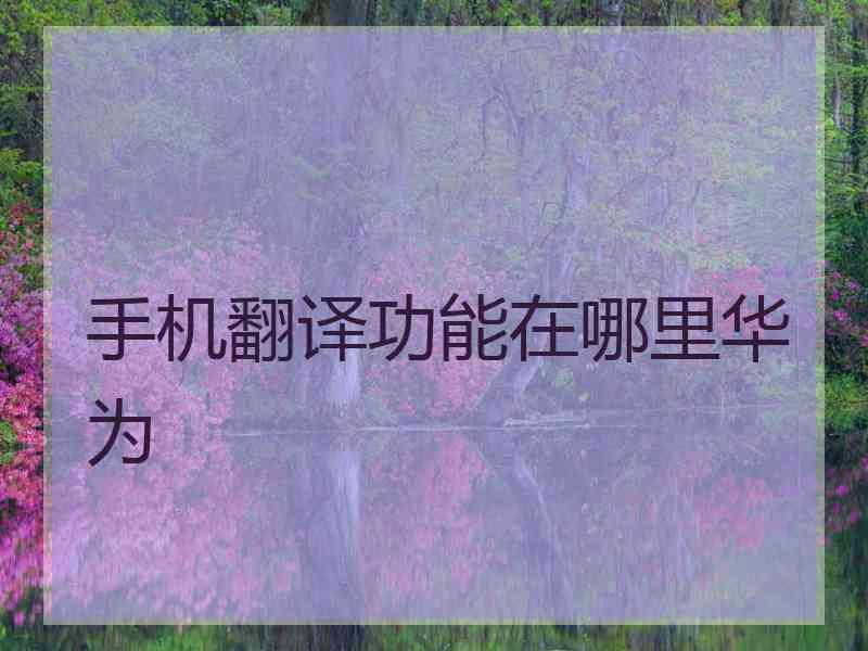 手机翻译功能在哪里华为