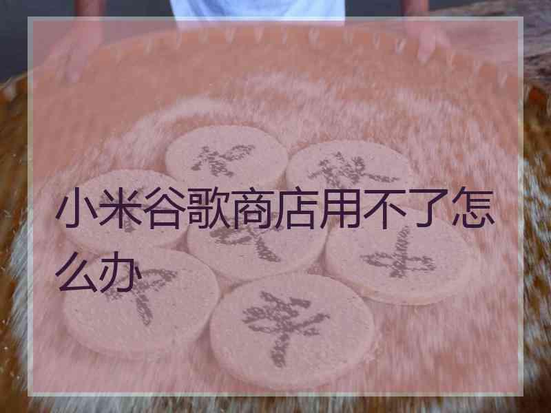 小米谷歌商店用不了怎么办