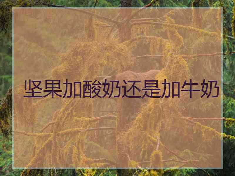 坚果加酸奶还是加牛奶