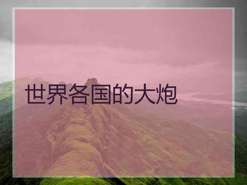 世界各国的大炮