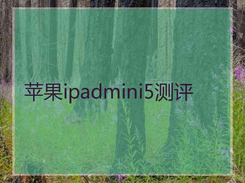 苹果ipadmini5测评